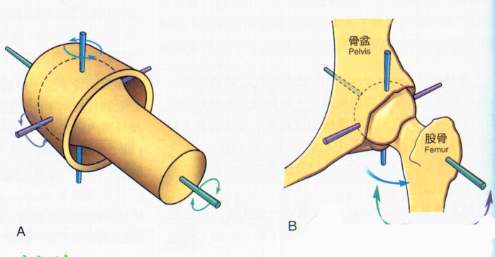 小型建筑攪拌機(jī)這一配件,竟能延長其使用壽命5年?--河北東圣吊索具制造有限公司--人體關(guān)節(jié)部位